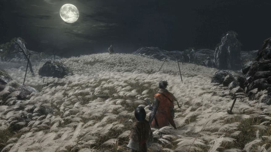 Sekiro with his Master